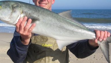 Ağustos Ayı Balıkları