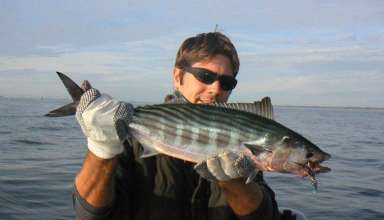 Eylül Ayı Balıkları