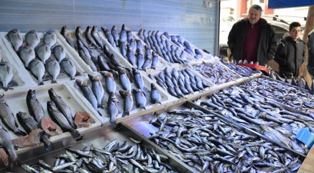 Ocak Ayı Balıkları