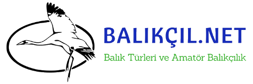 balikcil.net