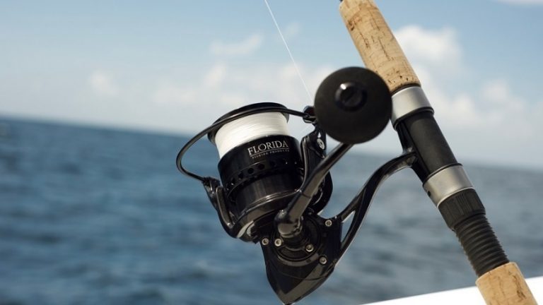 Yurtdışından Alınabilecek En İyi 10 Olta Makinesi